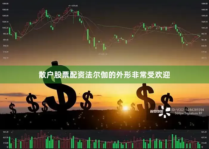 散户股票配资法尔伽的外形非常受欢迎